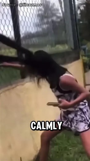 Woman Teases Zoo Monkey… Instantly Regrets It! Monkey Pulls Her Hair 😱 #shorts #funny