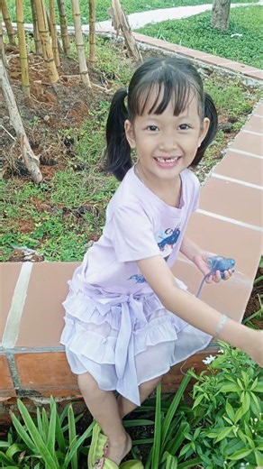 Con ếch trên ngọn cây #shorts