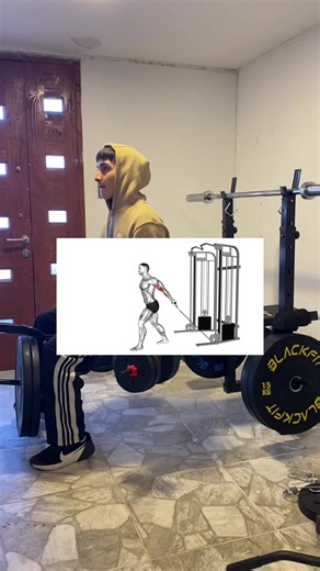 ¿Curl bayesian sobrevalorado? 🇮🇹 #fit #fitness #gymtok #gym