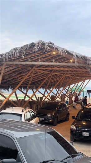 New Year's Day 2026 with OneLifeGearny