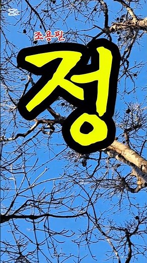 정#조용필#추억의노래 #감성노래