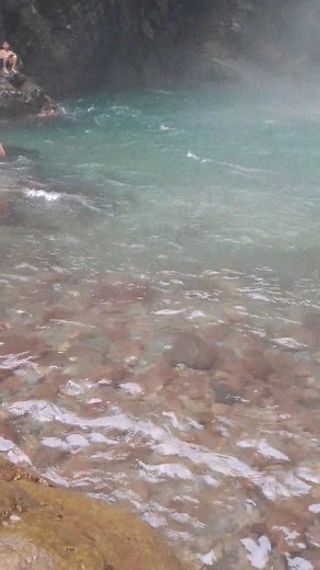 Cariaga Irish on Reels