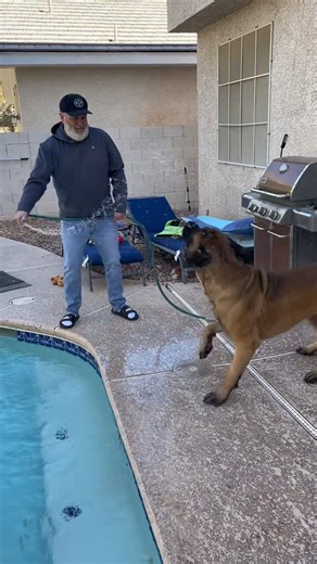 Bowserthemastifff on Reels