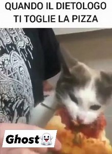 Puhahahah... Buona pappa!! 👻♥️ | GHOST