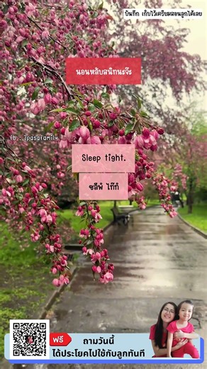 🔹 นอนหลับสนิทนะจ๊ะ ภาษาอังกฤษพูดว่า...