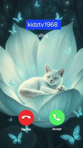 🐈 Cute Cat Calling You! #cat​​​​​ #shorts​​​​​ #trending​​​​​ #kidztv1968​​​​​