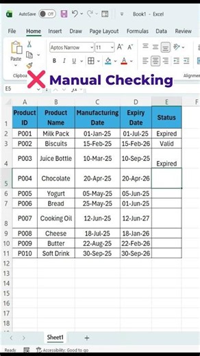 Expiry Date in Excel ⚡ IF Formula Trick (Auto Expired/Valid) 😳