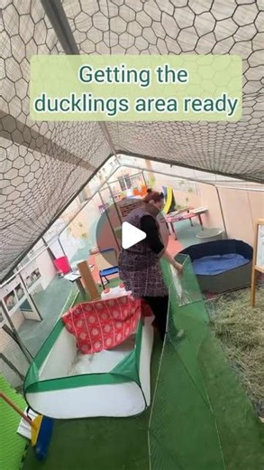 Kate | Friday mornings with our KG Ducks! #ducklingsofinstagram #teachergram #earlyyearseducator #uae | Instagram | Katharine Gill