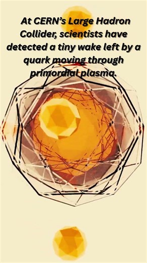 A Quark’s Wake in the Primordial Plasma - 2