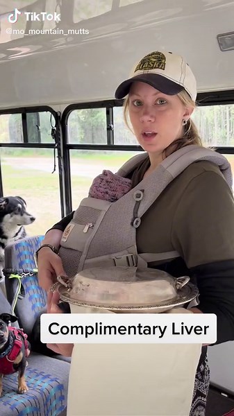 Meet Molly: The Newbie on Mo Mountain Mutts Puppy Bus