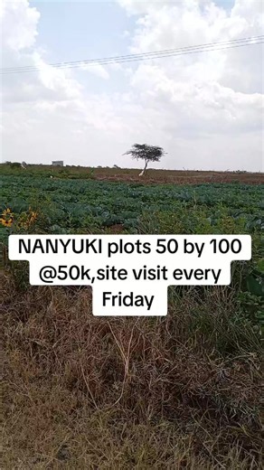 NANYUKI plots 50x100 at 50k — site visits every Friday