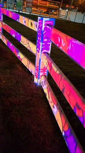 The Imaginal Boundary - Projection Mapping Art