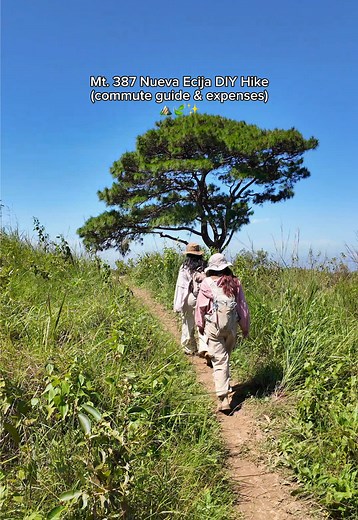 Mt. 387 Hiking Guide: Tips for an Amazing Experience