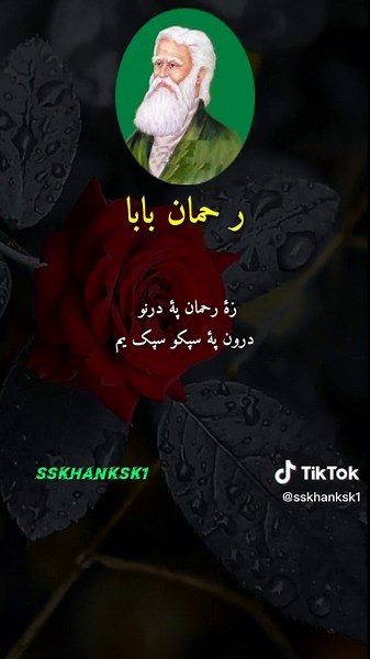 TikTok - Make Your Day