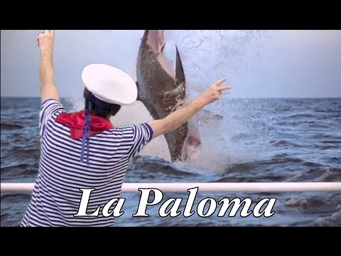 La Paloma - funny Harmonica by Harproli