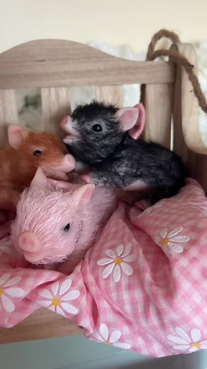 🥰. #siliconepig #InstaxChallenge #rebornpig #foryou