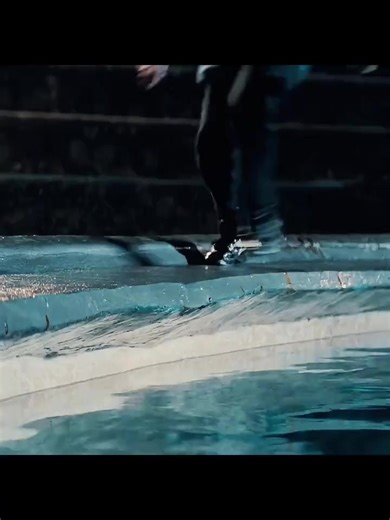 Спасение касаткой: необычная история из Украины