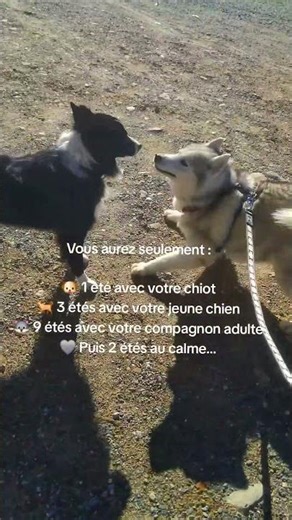 Profitons de chaque instant 🌟 🐕