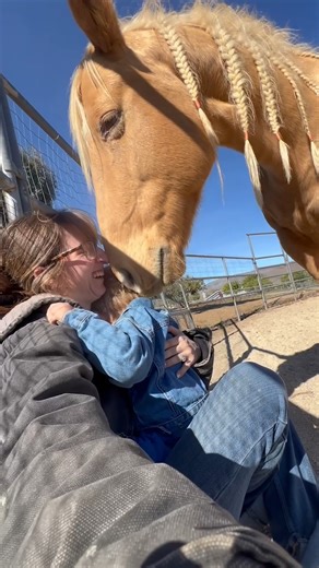 The Pet Collective | The horse was smiling 🥹 He loves to make them laugh! 💕🐴 . . . (Via - @oliviaa_noel ) . . . #HorsesOfInstagram #HorsesOfTikTok #Cute... | Instagram
