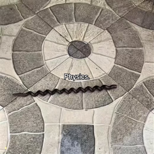 Cutting the Giant Pineapple Tree: A Satisfying Experience