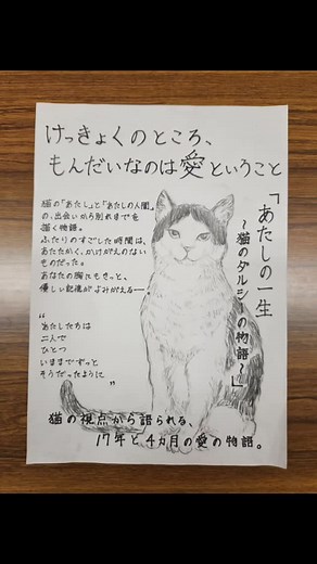 川村学園女子大学 児童教育学科【公式】 on Instagram: "「本のポップ」自分の好きな本のポップを描きました。#川村学園女子大学 #本 #ポップ #紹介 #ねこ"