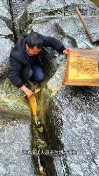 Captured Bountiful Yellow Croakers at Hidden Spot! GuaziUsedCar