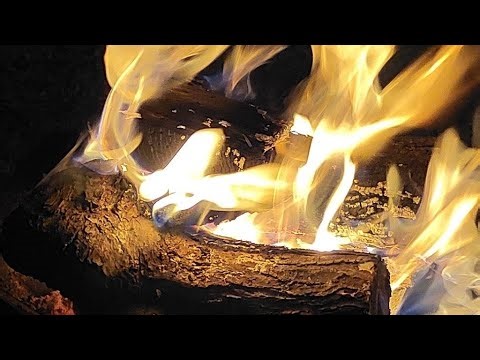 Live at Camp with Guest