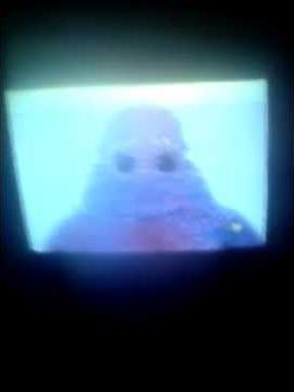 Boohbahs ONDEMAND