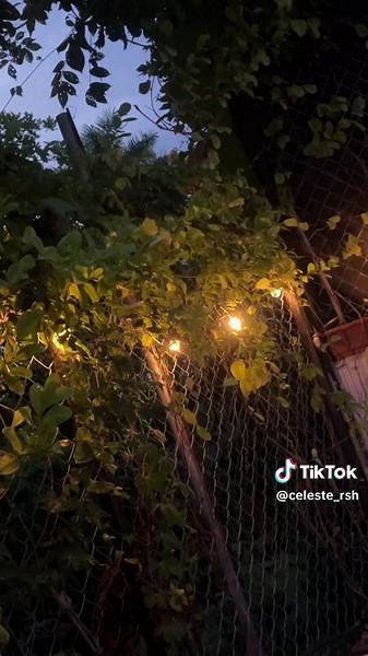 What's Up? by 4 Non Blondes - Lyrics and Meaning