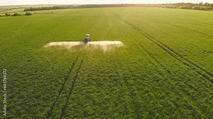 Aerial footage. Pesticide Sprayer Tractor working on a large green field at sunset. Aerial shot following on the side a tractor spraying wheat field against diseases. Farmer spraying soybean fields.