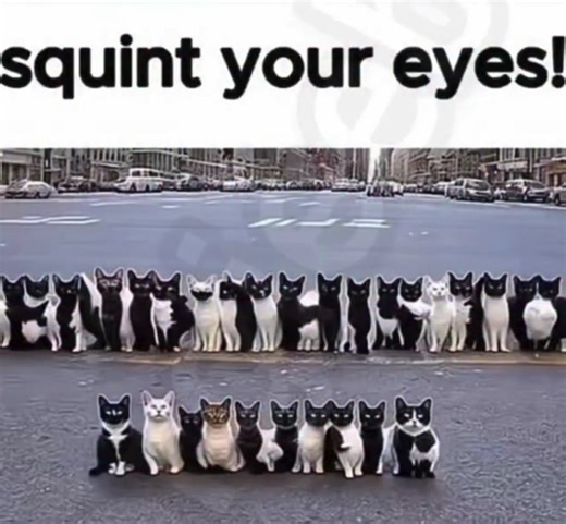 squint em! #fyp #viral #famous #meme #squintyoureyes | Squint Your Eyes