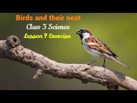 DAV class 3 science chapter 7 Birds and Thier Nests - Solution Question/Answer Class -3rd DAV School