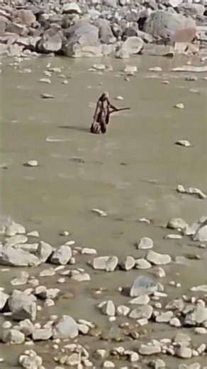 duck hunting #huntingtrip #mountains #amazing #duckhunting #duckhunt #shorts #shares