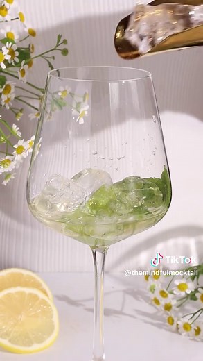 Delicious Hugo Spritz Mocktail Recipe