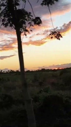 Evening view through the bus window..🌅 use headphones for the commentory😉😉