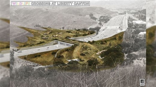 101 Freeway closed nightly at these roads for wildlife crossing project construction