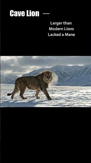 Ice Age – Part 5: The Powerhouse Predators