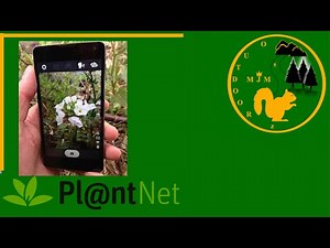 Plant net App Review - How to EASILY use Plant Net App