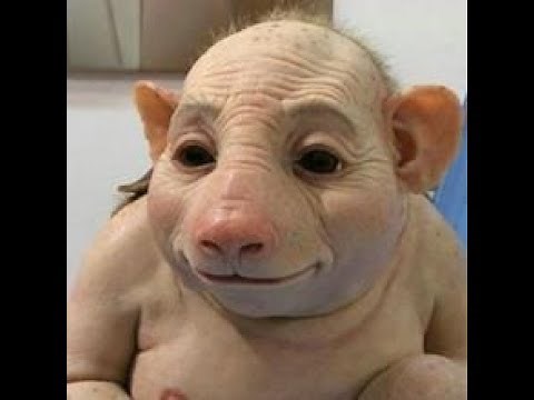 TOP 10 FUNNY UGLY PEOPLE PICTURES | Most "Ugly People" In The World