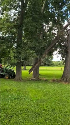 John Deere 4120 pulling down a dead branch.
