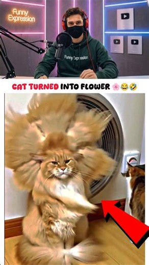 Cat Turned Into Flower 🌸😂 #funnyexpression #voice #edit