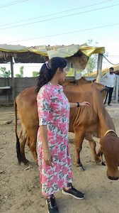 2.2M views · 69K reactions | "Biology Teacher की नौकरी छोड़ गुजरात की रहनी वाली महिला गोपालक का Sattvishtik Wellness Gir Farms" | MANI Improve FARmer | Facebook