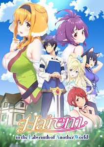 Harem in the Labyrinth of Another World (2022) - TV Show