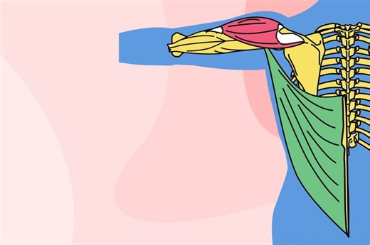 Apa Hubungan Rangka, Otot, dan Sendi dalam Sistem Gerak Manusia? - Bobo