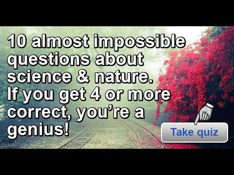 Test Your Knowledge with This Fun and Engaging Quiz!