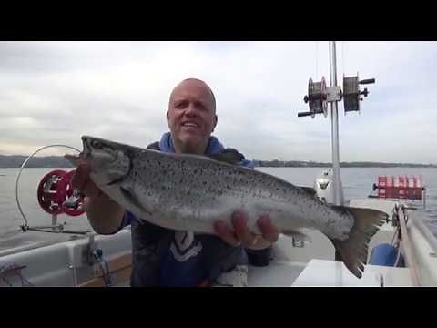 28. Fischen ... Angeln ... das Silber des Bodensee - live Forellenbisse