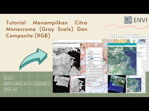 TUTORIAL MENAMPILKAN CITRA MONOCROME (GRAY SCALE) DAN COMPOSITE (RGB) DENGAN SOFTWARE ENVI