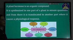 Grade 12 Biology သင်ရိုးမှ Chapter 5 (Coordination and Response) အကြောင်းကိုကျွန်တော်တို့ Page မှပညာဒါနလေးအဖြစ်မျှဝေပေးခြင်းဖြစ်ပါတယ်ခင်ဗျာ😍 "...ပညာလိုလားနိုင်ငံသားတို့ အားထားယုံကြည် NEC..."⭐⭐⭐ | Noble Educare Centre - NEC