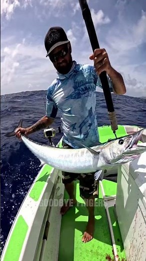 Why Anglers FEAR the Wahoo’s Bite! #Wahoo #WahooFish #oceanfacts