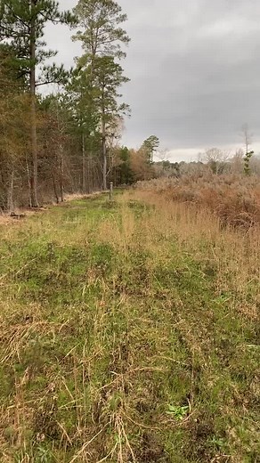 Just got my new GhostBlind Predator in! I love this thing #ghostblind #bowhunting #hunting #outdoors #hidden #downsouth #